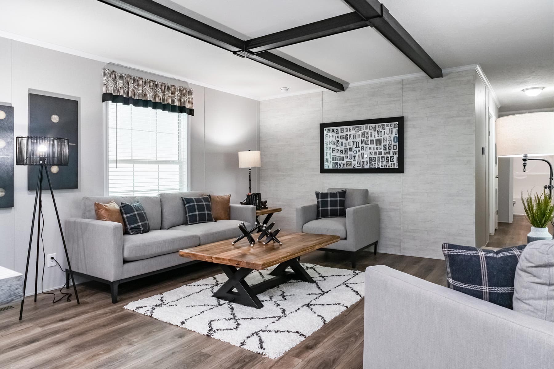 Click to enlarge 1666H22091 single wide home — living room (photo 6 of 16)